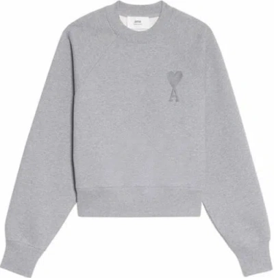 Ami Alexandre Mattiussi Ami Sweaters In Grey