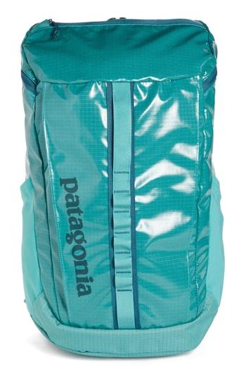 teal patagonia backpack