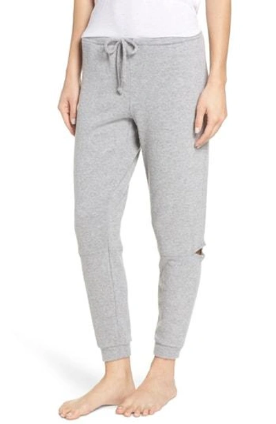 Chaser Love Side Slit Knit Jogger Pants In Heather Grey