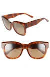 Maui Jim Women's Siren Song Polarized Cat Eye Sunglasses, 54mm In Koa Tortoise