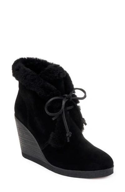 Splendid Women's Catalina Suede & Shearling Lace Up Wedge Booties In Black Suede