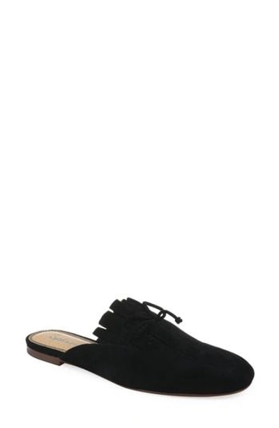 Splendid Chandler Mule In Black Suede