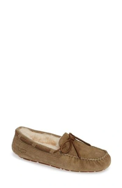 Ugg Dakota Water Resistant Slipper In Antelope