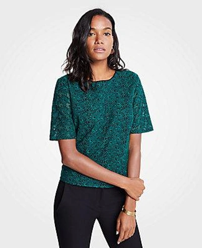 Ann Taylor Petite Embroidered Lace Top In Green Eden