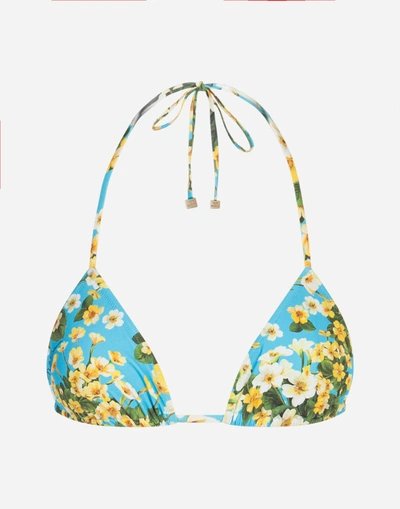 Dolce & Gabbana Printed Triangle Bikini Top In Light Blue