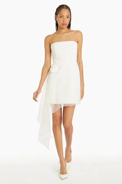 Amanda Uprichard Mandy Rose Dress In Ivory