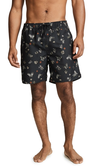 Saturdays Surf Nyc Saturdays Nyc Timothy Butterfly Print Swim Short In Lacquer Butterfly Print