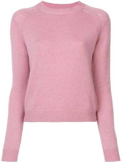 Alexandra Golovanoff Crew Neck Knitted Sweater In Pink