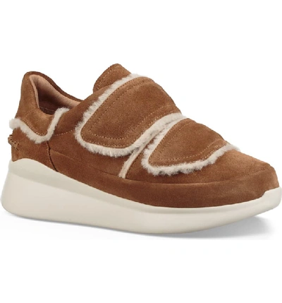 Ugg Women's Ashby Round Toe Fur & Suede Sneaker In Chestnut Leather