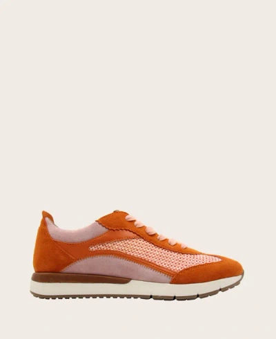 Gentle Souls Juno Sneaker In Orange