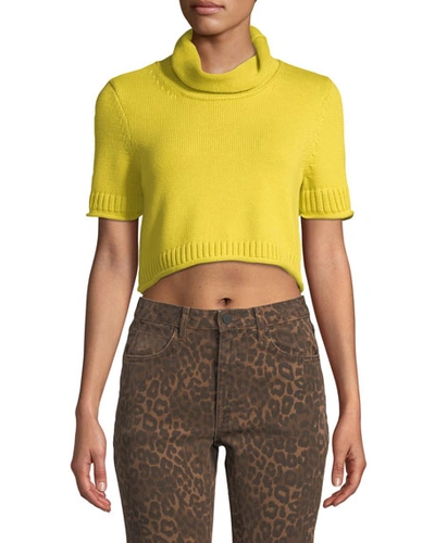 Alexander Wang T Cropped Turtleneck Short-sleeve Sweater