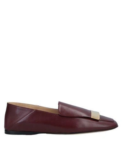 Sergio Rossi Loafers In Maroon