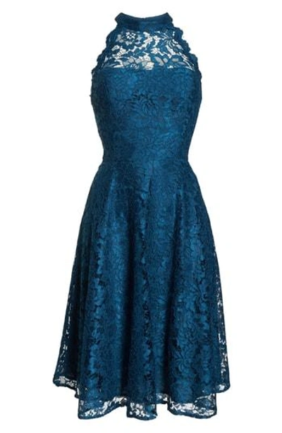 chinese dress ladies Eliza J Light Blue Lace Fit & Flare Dress NWT- Size 2P  The Saved  Collection