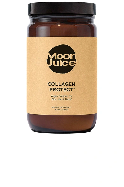 Moon Juice Collagen Protect&trade; Vegan Creamer For Hair, Skin & Nails 8.5 oz/ 240 G In N,a