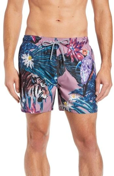 Ted Baker Nemo Tiger Print Swim Shorts In Pink