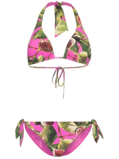 Dolce & Gabbana Fig Print Triangle Tie Side Bikini - Pink In Pink & Purple