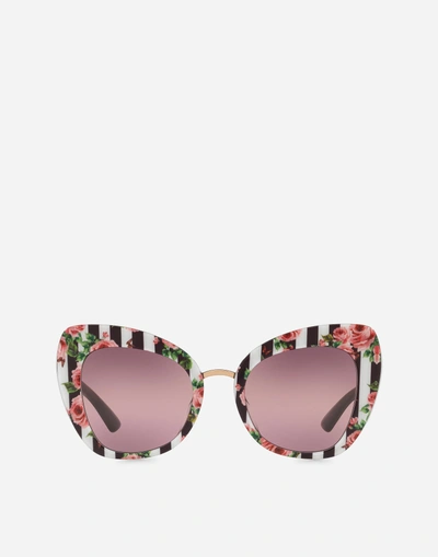 Dolce & Gabbana Butterfly Sunglasses With Stripe And Rose  display picture 2
