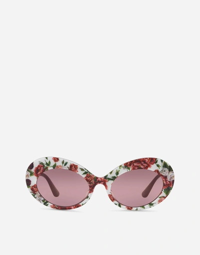 Dolce & Gabbana Print Family Sunglasses In Floral Print