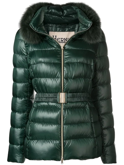 Herno Hooded Puffer Jacket - Green In Green