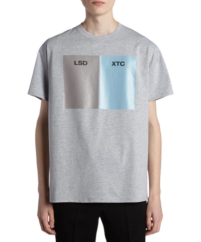 Raf Simons Lsd-xtc Cotton T-shirt In Grigio