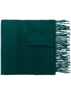 N•peal Woven Cashmere Scarf In Green
