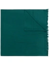 N•peal Pashmina Stole In Green