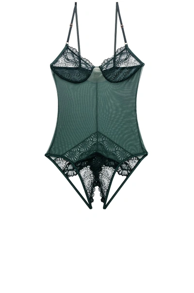 Only Hearts Whisper Sweet Nothings Coucou Bodysuit In Green