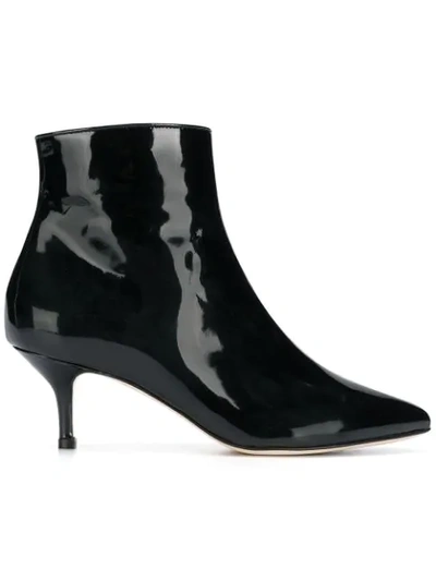 Polly Plume Ankle Boots In Black