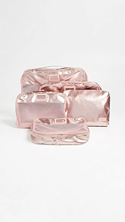 Calpak Metallic Packing Cube Set In Rose Gold
