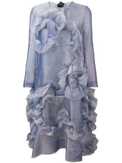 Roberts Wood Frilled Sheer Dress In Blue