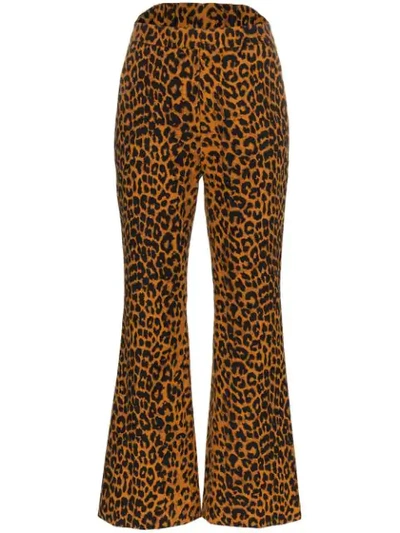 Push Button Pushbutton Leopard Print Cotton Trousers In Brown