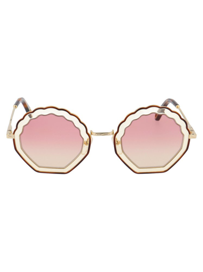 Chloé Tally Scalloped Seashell 56mm Sunglasses In Multicolor