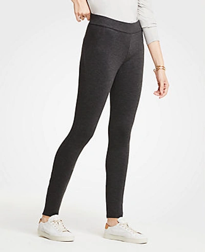 Ann Taylor Petite Ponte Leggings In Coal Heather