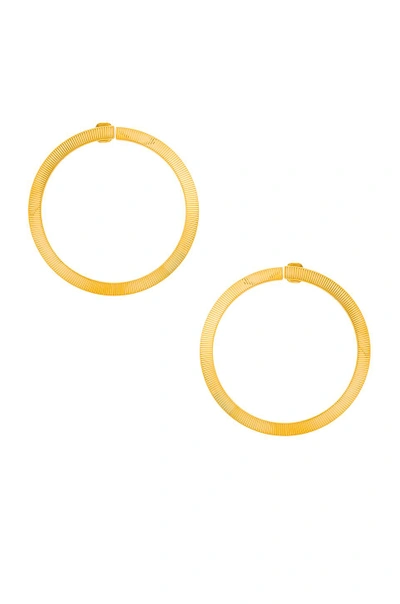 Laruicci Twisted Hoop Earrings In Metallic Gold.