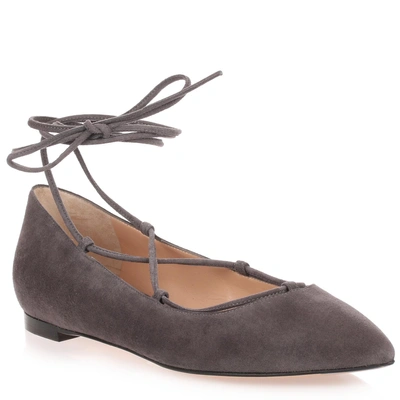 Gianvito Rossi Grey Suede Lace Up Femi' Flat