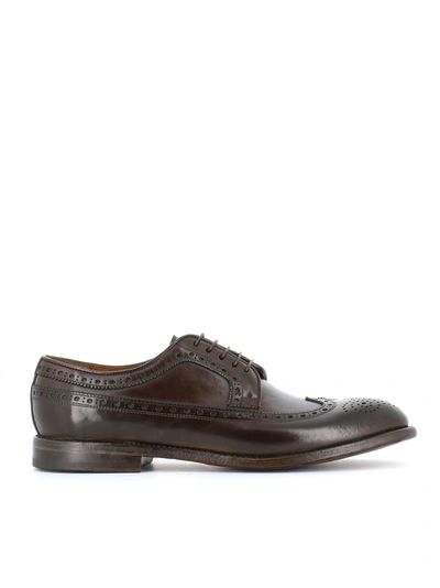 W.gibbs Brogues "0337005" In Brown