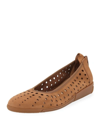 Sesto Meucci Dova Perforated Leather Comfort Ballet Flats In Brown