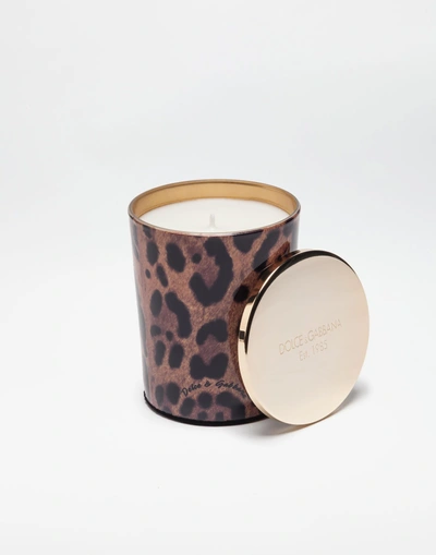Dolce & Gabbana Scented Wax Candle With Printed Glass In Leopard