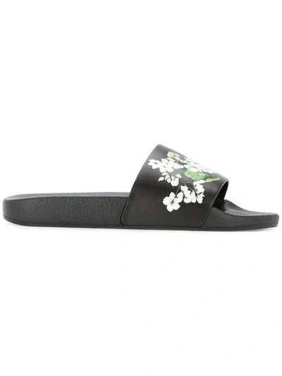 Dolce & Gabbana White Geranium Printed Slides In Black