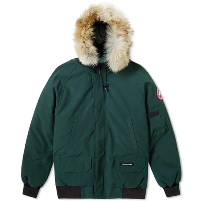 Canada Goose Chilliwack Bomber Jacket In Green