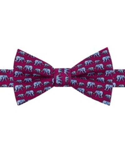 Tommy Hilfiger Men's Elephant Print Pre-tied Silk Bow Tie In Burgundy