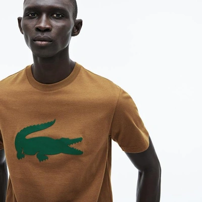 Lacoste Men's Crew Neck Oversized Crocodile Cotton Jersey T-shirt In Brown / Green