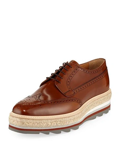 Prada Spazzolato Leather Brogue Sneaker In Brown
