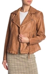 Max Studio Maxstudio Washed Faux Leather Moto Jacket In Cognac