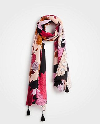 Ann Taylor Autumnal Floral Scarf In Black