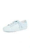 Ash Stars Leather Sneakers In Ice Blue