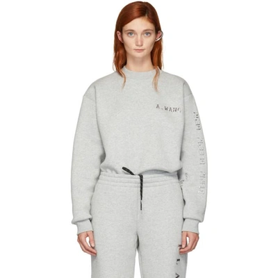 Alexander Wang Grey Platinum Pullover Sweatshirt In 020 Hthrgre