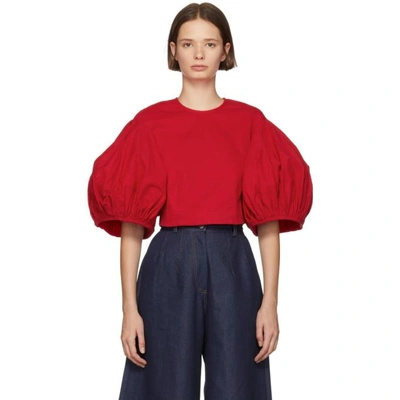 Edit Red Balloon Sleeve Cropped Blouse