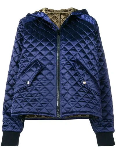 Msgm Hooded Quilted Jacket In Blue