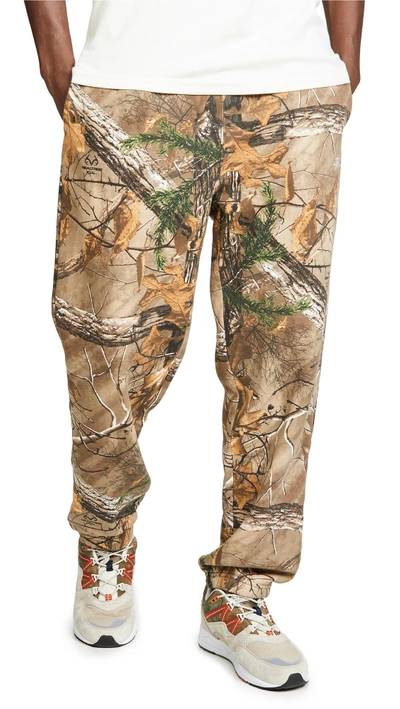 Stussy Real Tree Sweatpants In Camo | ModeSens